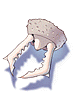 Ant Jaw