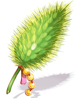 Exquisite Foxtail Model
