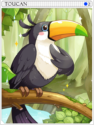 Toucan Card
