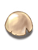 Egg Shell