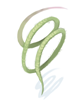 Strong Vine