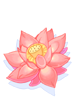 Elegant Flower